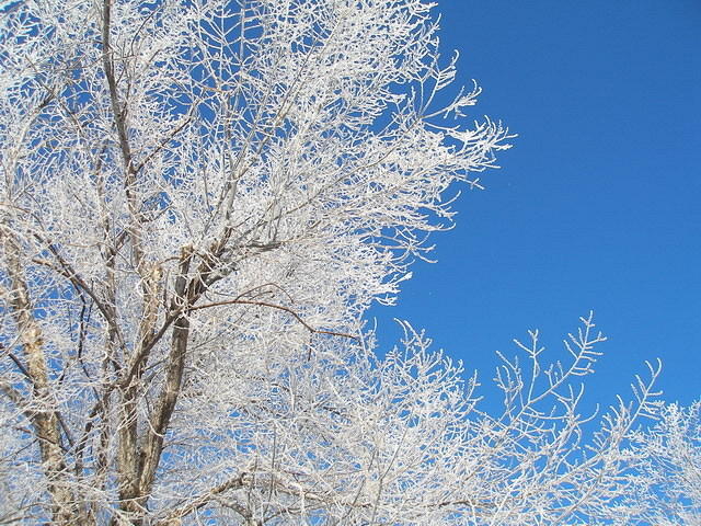 2007-01-22 Coaldale 03