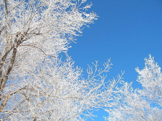 2007-01-22 Coaldale 06