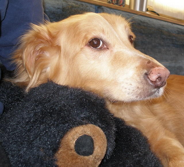 2007-01-22 Coaldale 13