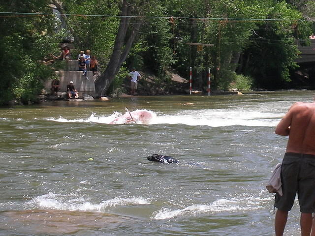 2007-06-17 FIBArk 17a