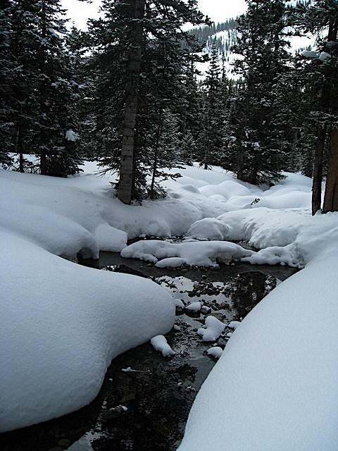 2010-02-27 Lost Wonder Hut 28