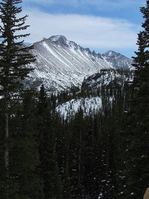 2011-03-19 Lyons 11