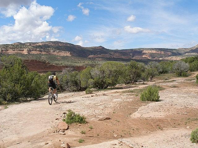 2011-04-21 Fruita - Mtn Bike 10
