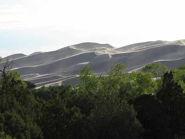 2011-07-24 Sand Dunes 011