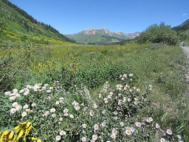 2011-08-07 Crested Butte 09