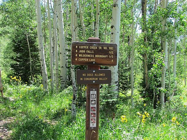 2011-08-07 Crested Butte 32