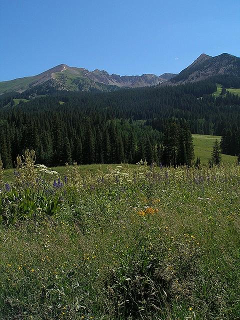 2011-08-07 Crested Butte 84