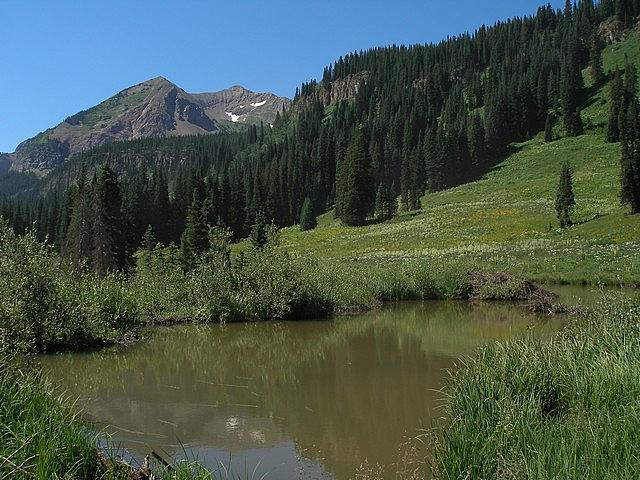 2011-08-07 Crested Butte 95