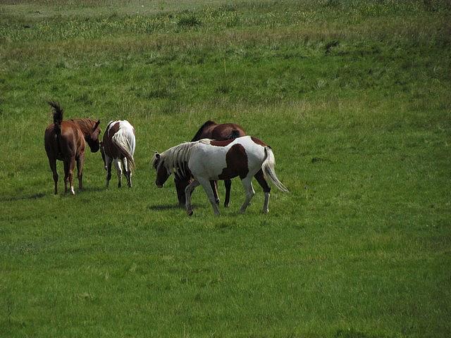 2011-08-28 Weston Pass 002