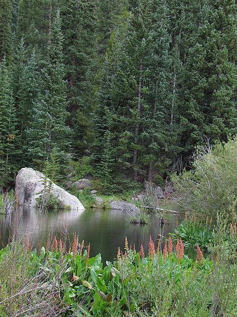 2011-08-28 Weston Pass 017