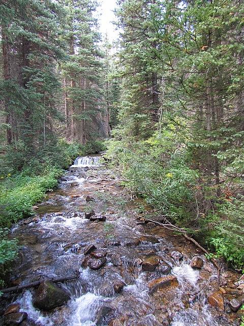 2011-09-04 Boss Lake 010