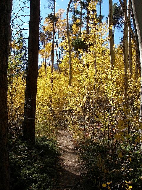 2011-10-02 hike Greens Creek 015