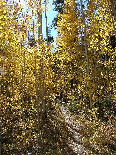 2011-10-02 hike Greens Creek 022