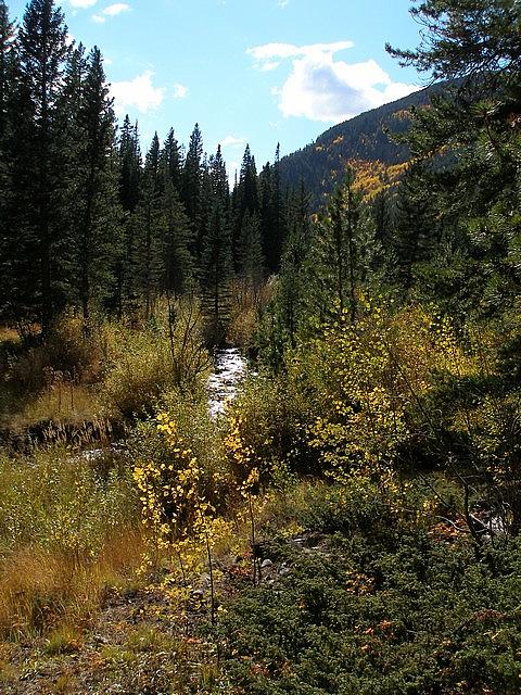 2011-10-02 hike Greens Creek 027