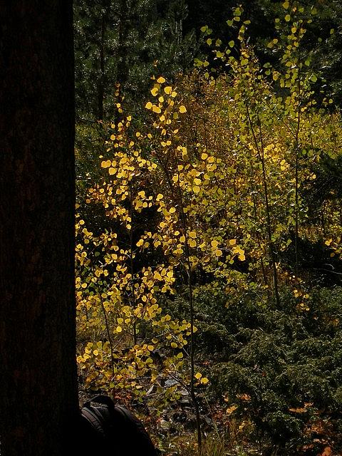 2011-10-02 hike Greens Creek 029