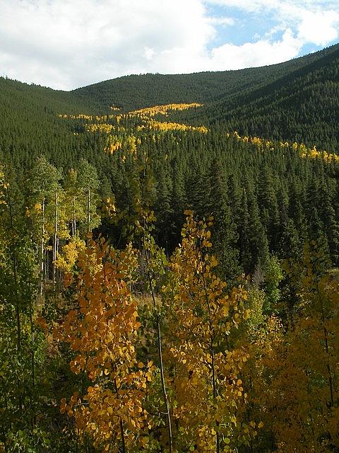 2011-10-02 hike Greens Creek 031