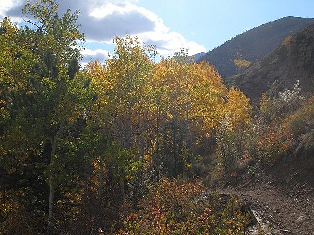2011-10-02 hike Greens Creek 036