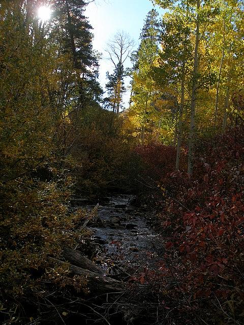 2011-10-02 hike Greens Creek 044