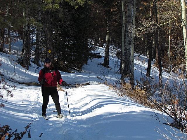 2011-12-29 Santa Fe NM 047