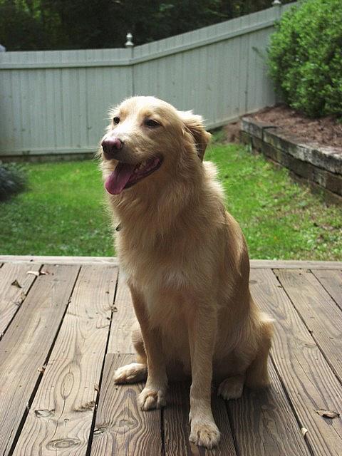 2002-10-05 first day1