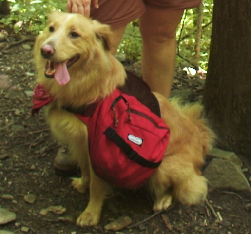 2003-07-20(2)