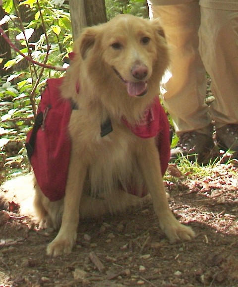2003-10-05(5)