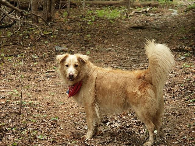 2004-05-15 Lake Conasauga-09