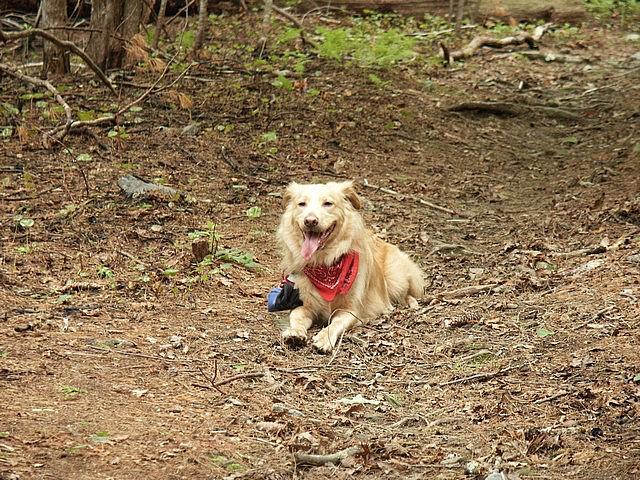 2004-05-15 Lake Conasauga-12