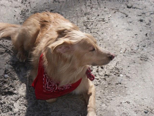 2005-04-03 AT Hightower Gap 12