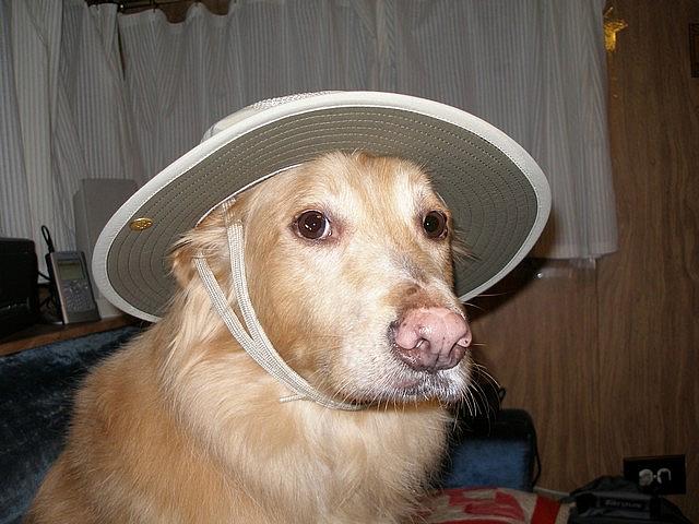 2007-02-01 Simon 03