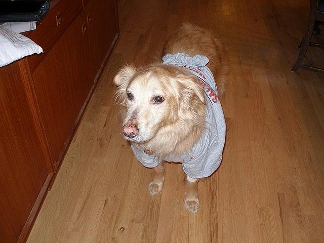 2010-02-09 Simon boo-boo 01