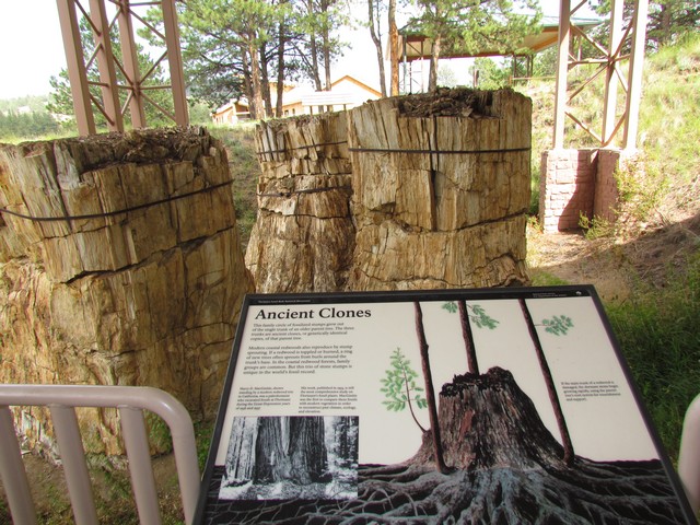 2012-08-12 Florresaint Fossil Beds 05