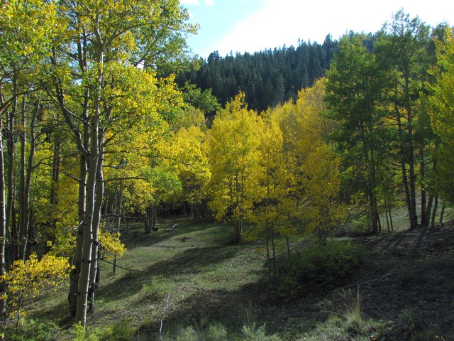 2012-09-22 trip to Marshall Pass 010