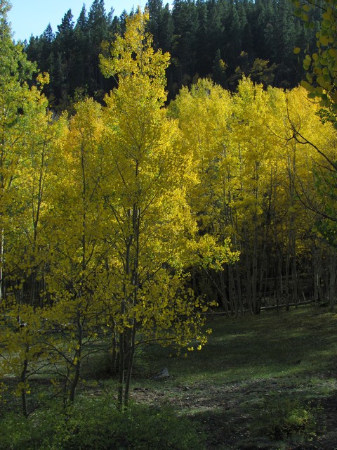 2012-09-22 trip to Marshall Pass 013