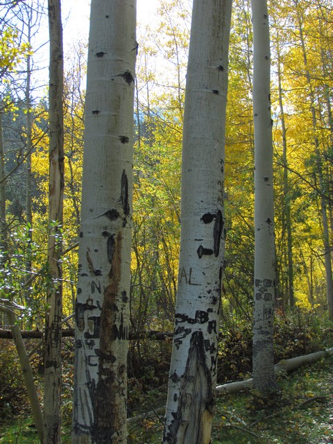 2012-09-22 trip to Marshall Pass 018