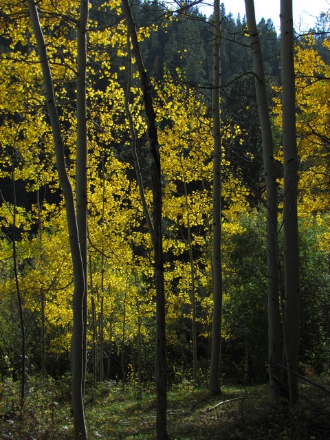 2012-09-22 trip to Marshall Pass 019