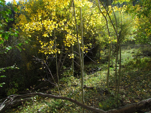 2012-09-22 trip to Marshall Pass 022