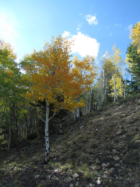 2012-09-22 trip to Marshall Pass 025
