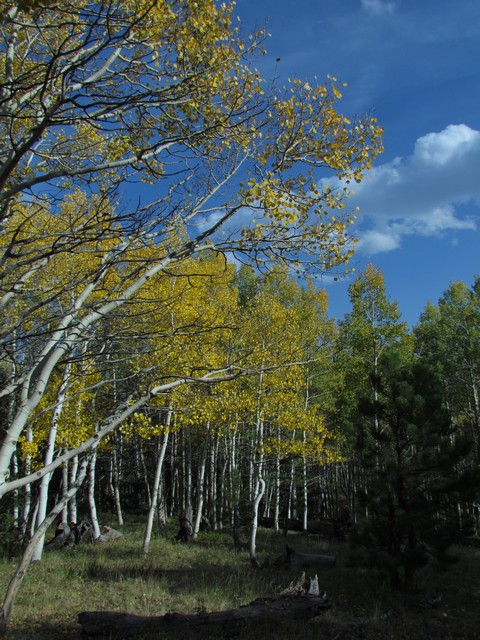 2012-09-22 trip to Marshall Pass 032