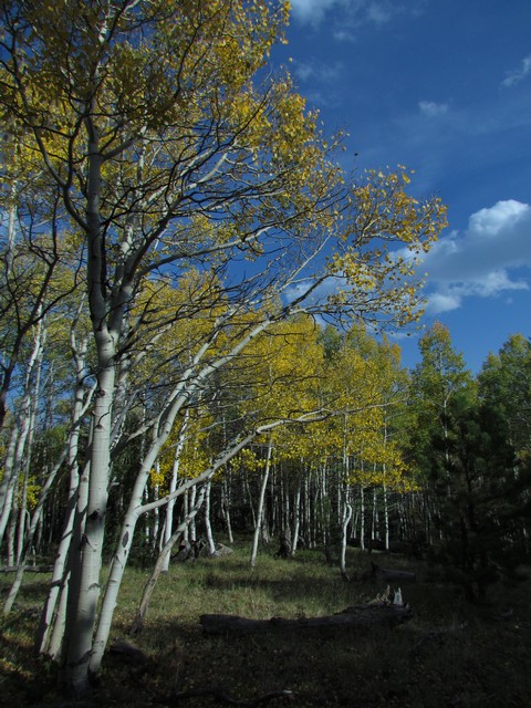 2012-09-22 trip to Marshall Pass 033