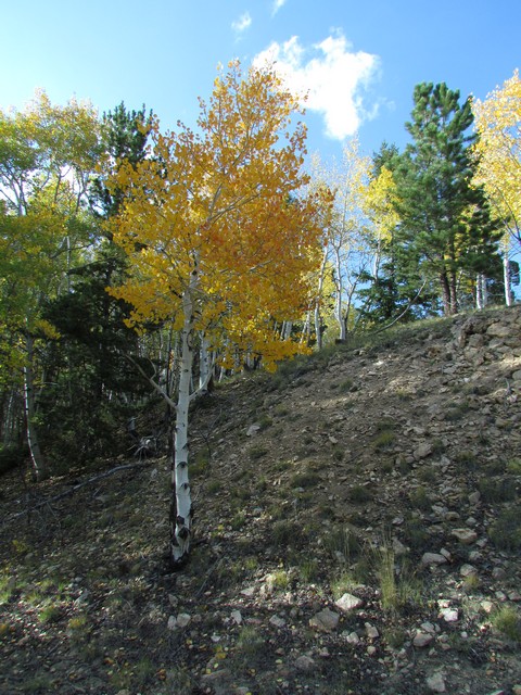 2012-09-22 trip to Marshall Pass 034