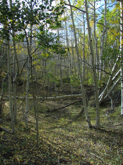 2012-09-22 trip to Marshall Pass 035