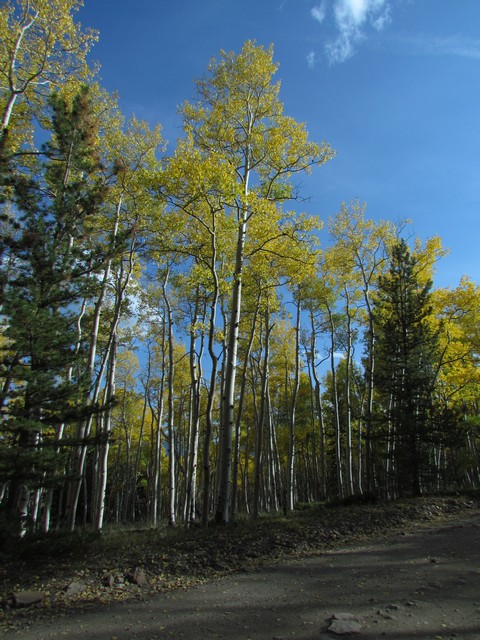 2012-09-22 trip to Marshall Pass 040