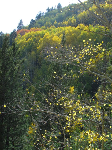 2012-09-22 trip to Marshall Pass 042