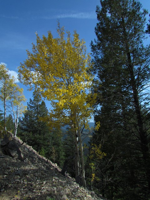 2012-09-22 trip to Marshall Pass 046