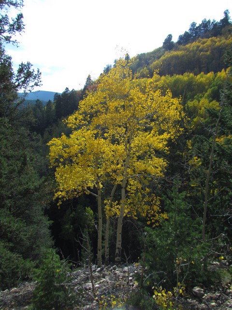2012-09-22 trip to Marshall Pass 047