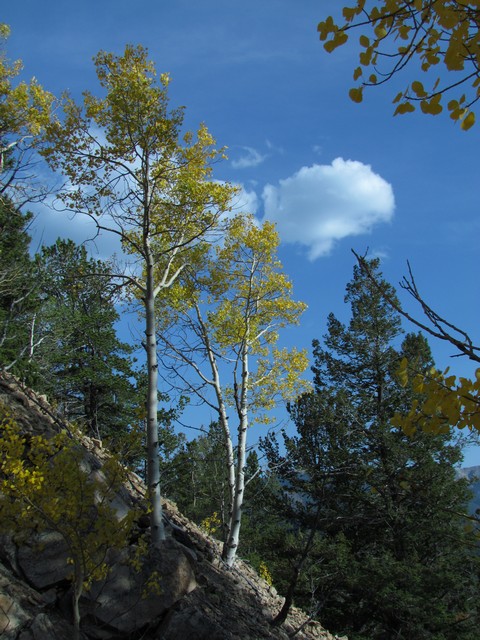 2012-09-22 trip to Marshall Pass 049