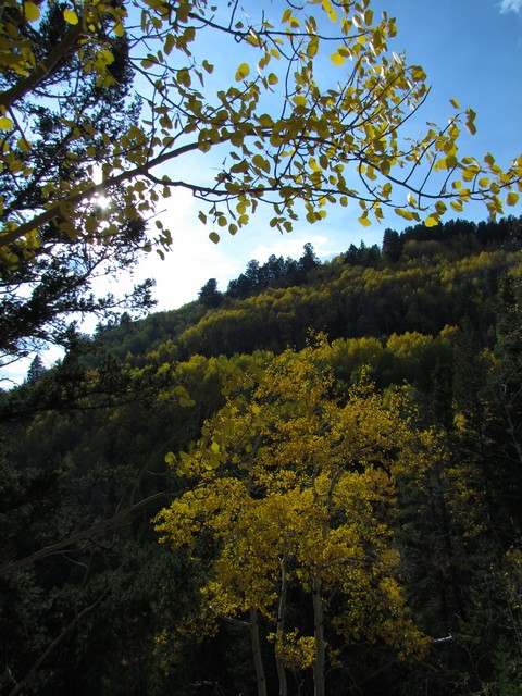2012-09-22 trip to Marshall Pass 051
