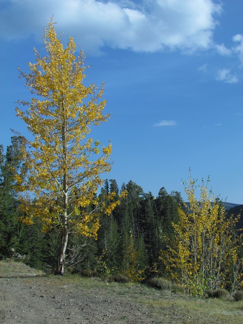 2012-09-22 trip to Marshall Pass 068