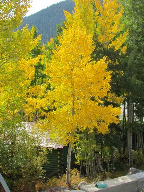 2012-09-23 trip to Kebler Pass 003